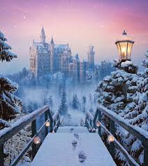 Aerial view image of the neuschwanstein castle during winters. Neuschwanstein Castle In The Winter 9gag