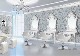 Hair Salon Hair Salon Furniture Hair Salon Decor Salon Furniture