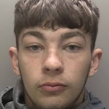Young drug dealer found in flat with caged XL Bullies he was 'paid £50 a  day to look after'