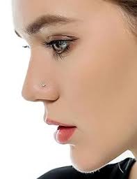 Kridzisw 20G 18G Threadless Push in Nose Rings Studs Stainless Steel Nose  Nostril Piercing Jewelry for Women Men CZ Inlaid 1.5MM 2MM 2.5MM 3MM  15Pcs-16Pcs, Stainless Steel, crystal : Amazon.in: ज्वेलरी