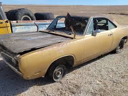 Image result for Spanish Gold 1969 Barracuda