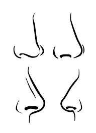 How To Draw Expressive Noses Drawing Made Easy Nose Drawing Drawing People Easy Drawings