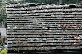 Cedar shingles are narrow slices of wood which are sawn from a cedar log and squared off to standard sizes, usually 16 inches (40.6 cm), 18 inches (45.7 cm), or 24 inches (60.96 cm) square. The Care And Maintenance Of Wood Shingle And Shake Roofs Osu Extension Catalog Oregon State University