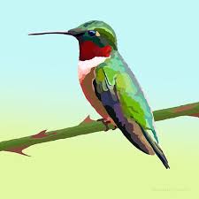 Ruby-throated Hummingbird
