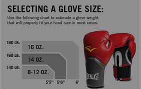 Everlast Velcro Pro Style Training Gloves