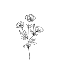 See more ideas about art, honeysuckle tattoo, honeysuckle flower. Wildflower Tattoo Designs Chaos Cosmos