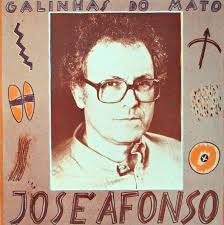 Galinhas do mato (colaboração)