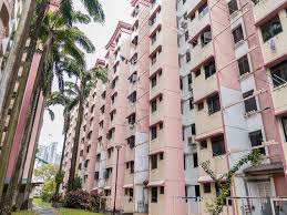 In fact, the area along the former malaysian railway tracks between wessex, alexandra and tanglin halt is a kind of bird central for both local and migrant feathered folk — around 105 species have been spotted there, according to a survey done by davis and her collaborators under the migrant ecologies. A Last Look At The Old Tanglin Halt