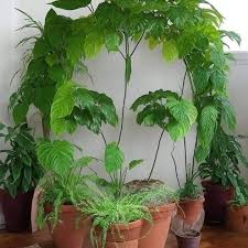 Amazing Art of work 🙏🏻❤️