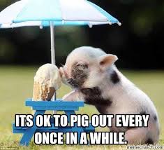 20 Cute Pig Memes That Will Surely Steal Your Heart Sayingimages Com Pig Memes Cute Pigs Pig