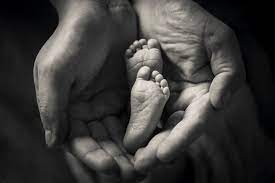 Newborn Photography Tips Digital Camera World