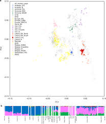 154 din 19 iulie 1995. Ancient Dna From Chalcolithic Israel Reveals The Role Of Population Mixture In Cultural Transformation Nature Communications