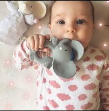 Amazon.com: Tikiri Alvin The Elephant