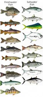 This Is A Great Idea Fishingforbeginners Fish Chart
