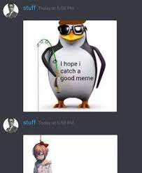 Vinny can automatically post memes on a timer as well so the memery never has a number of meme commands such as !meme (returns a random meme) and some that allow you to put your fellow discord members into them. Funny Discord Cat Pfps Novocom Top