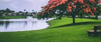 Find up to four landscaping pros. Grounds Maintenance Services In Houston Spring Tomball Tx Green Leaf Pro