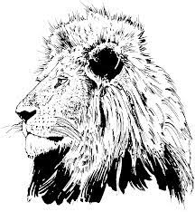 Find high quality lion head coloring page, all coloring page images can be downloaded for free for personal use only. Pin On Work