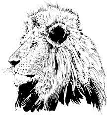 Asian lions were found in some southern european countries and throughout the middle east as far as. About Lions Lion Coloring Pages Lion Coloring Lion Coloring Page