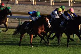 煌びやかなiカップ起業家 金谷うの 32歳 av debut!! äº¬çŽ‹æ¯ã‚¹ãƒ—ãƒªãƒ³ã‚°ã‚«ãƒƒãƒ—2019ã®äºˆæƒ³ã‚ªãƒƒã‚º äººæ°—ã¨æ³¨ç›®ã®å‡ºèµ°äºˆå®šé¦¬ã¯ Jraé‡è³žå±•æœ›