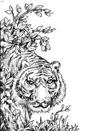 Pin On Animal Coloring Books