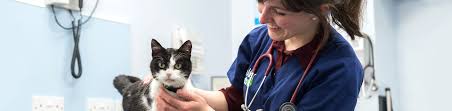 We're here when your pet's primary veterinarian's office is closed. 24 Hour Emergency Service