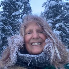 Kids train for sale in delta area?