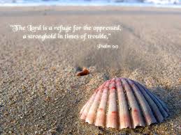 We've gathered more than 5 million images uploaded by our users and sorted them by the most popular ones. Bible Verse Wallpaper For Desktop Scallop Shell On Beach 1024x768 Wallpaper Teahub Io