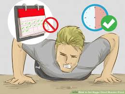 Take at least one day's rest between workouts. Dosahnout Nemas Zac Vybudovat How To Get A Buff Chst Hodne Stesti Vrchol Nevhodny