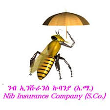 The competition entry with our local partners in addis ababa, bet architects, was rewarded with formal approval. Apr 2021 Ethiopian Insurance Companies Profit Latest Ethiopian News Addisbiz Com