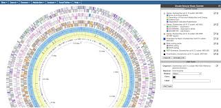 Disaccharides form when two monosaccharides bond to each other in this part of the exercise, we will review the basic chemical properties of the building blocks of the four biological macromolecules. Web Site User S Guide For Pathway Tools Based Web Sites