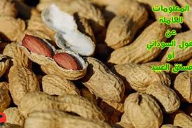 الفول السوداني فستق عبيد كافة الحقائق الغذائية والفوائد الصحية توعية