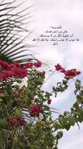 سناب سناب تصوير تصوير سنابات سنابات اقتباسات اقتباسات قهوة قهوة قهوه قهوه صباح صباح arabic quotes beautiful arabic words ispirational quotes