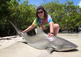 The brisbane river, referred to by locals as the brown snake, has long been known as a home for many creatures great and small. Captiva Fishing Bull Shark July 8 Captiva Fishing Report