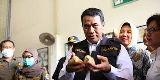 Buah manggis mengandung senyawa xanthone alami, yang mampu menangkal radikal bebas secara efektif. Cara Mengolah Kulit Manggis Kering Dan Segar Untuk Konsumsi Sehari Hari Merdeka Com