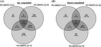 A cell is the basic unit of life in all organisms. Interaction Of Roses With A Biotrophic And A Hemibiotrophic Leaf Pathogen Leads To Differences In Defense Transcriptome Activation Springerlink