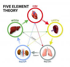 five element acupuncture rennwellness