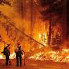 The state of california and the department of forestry and fire protection make no representations or warranties regarding the accuracy of data or maps. 1