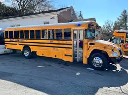 Image result for School Bus Yellow 2019 Transit