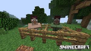 Such ruppes, sword tiers, diffrents bows, tunics, healing items and even the elusive triforce and master sword! 1 7 2 Legend Of Zelda Mod Download Planeta Minecraft