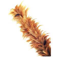 Pemain badminton (pemain bulu tangkis). Feathers Dusters Bulu Ayam Penyapu Debu Shopee Malaysia