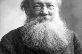 How COVID Influenced Animal Behavior