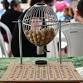 Afternoon Bingo event image