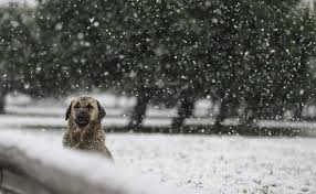 (i̇stanbul hava durumu yarın nasıl olacak?) 18.12.2018 14:11 | son güncelleme: Istanbul Da Kar Yagisi Ne Zaman Baslayacak Istanbul Da Kar Yagacak Mi Meteoroloji Hava Durumu