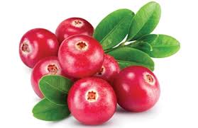 Maybe you would like to learn more about one of these? Cranberry Prebiotic For Gut Health