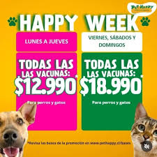 Pet Happy Las Condes