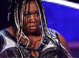 Diva Dream Matches: AJ Lee vs. Kharma