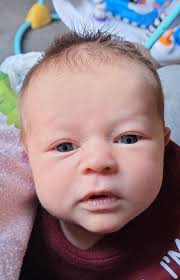 Obituary for Augustus Ray Moll