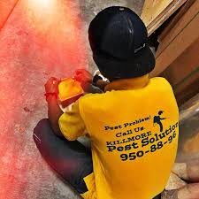 What types of corporate entities are there in the philippines? Killmore Pest Control Sjdm Bulacan Business Service Tungkong Manga Bulacan Philippines Facebook 179 Photos