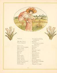 Maybe you would like to learn more about one of these? Language Of Flowers Greenaway Kate 1846 1901 Free Download Borrow And Streaming Internet Archive Language Of Flowers Flower Quotes Flower Meanings
