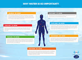 The amount of water in the body changes slightly with age, sex, and hydration levels. Why Water Is So Important Eden Springs